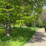 Grünflächen Leipzig