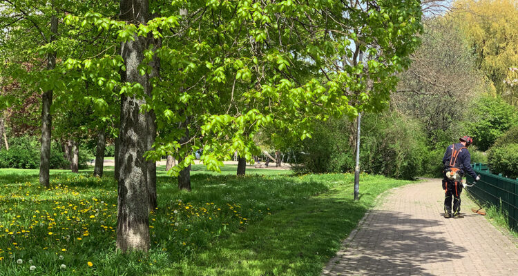 Grünflächen Leipzig