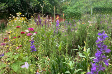 Leipzig soll blühen