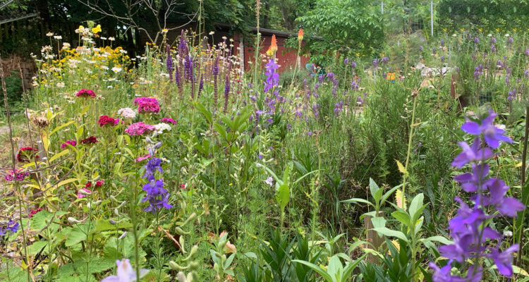 Leipzig soll blühen