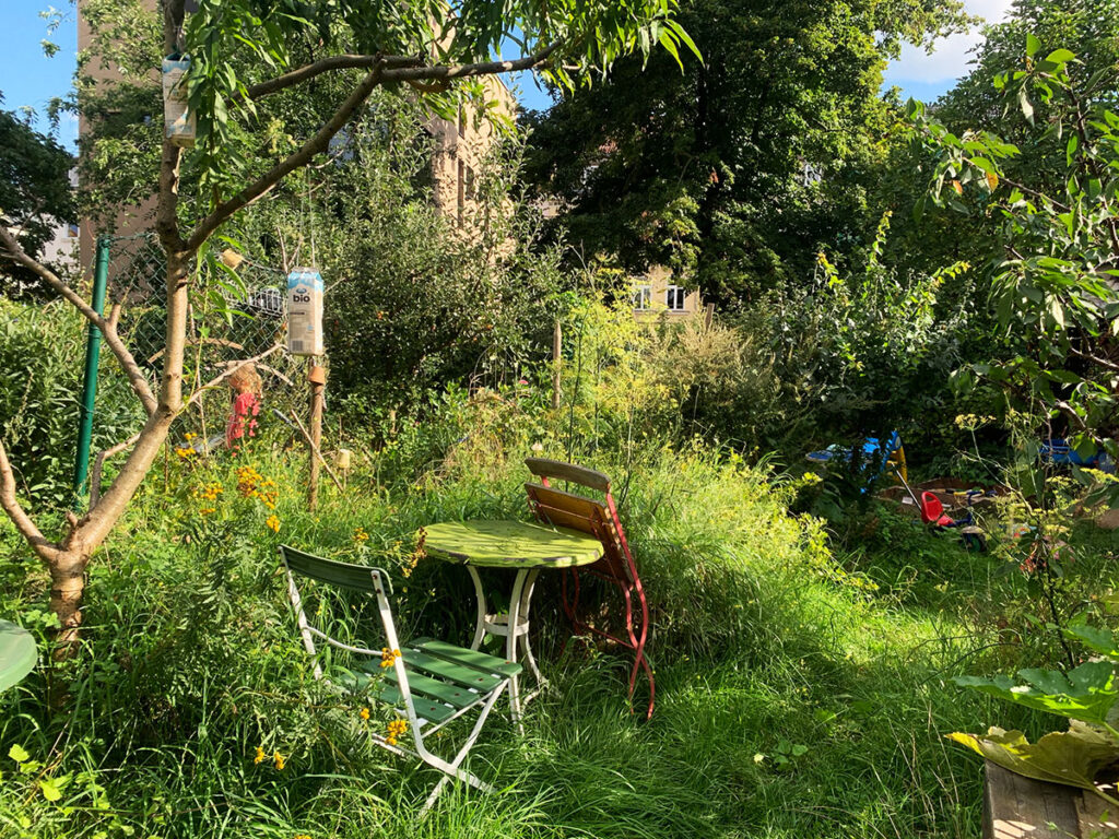 Stadtgarten H17 Gartenprojekt