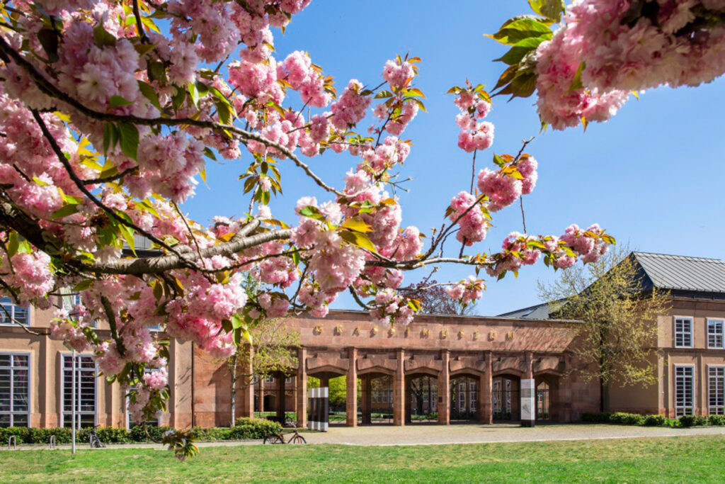 GRASSI Leipzig Nachhaltigkeit