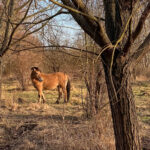 Grüner Bogen Leipzig