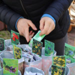 Verschenke- und Tauschmarkt für Saatgut und Pflanzen im Stadtgarten