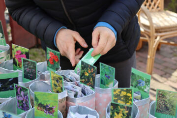 Verschenke- und Tauschmarkt für Saatgut und Pflanzen im Stadtgarten