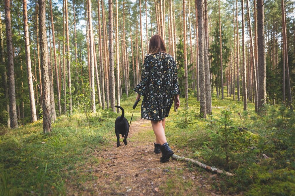 Leipzig mit Hund spazieren 