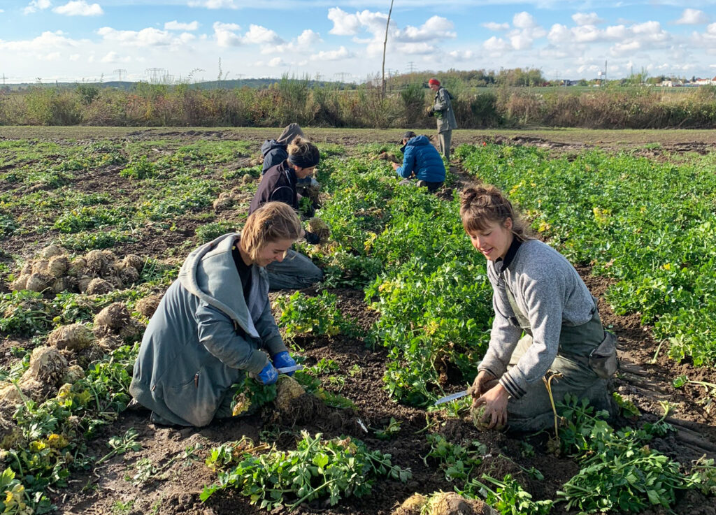 Kola Leipzig Landwirtschaft Taucha