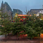 Weihnachtsbäume Leipzig