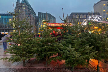 Weihnachtsbäume Leipzig