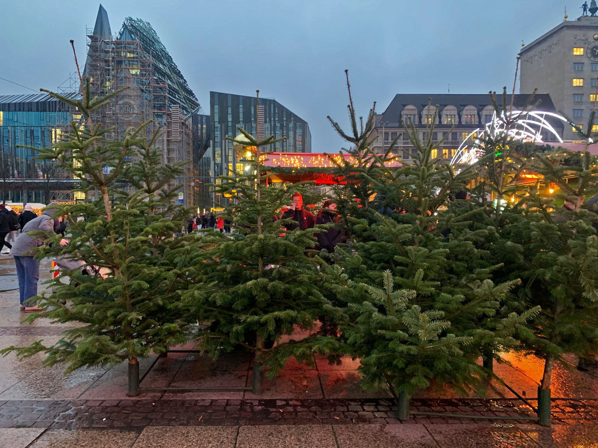 Weihnachtsbäume Leipzig