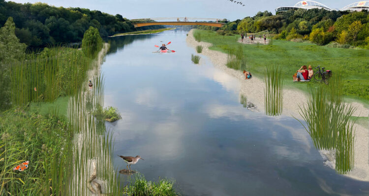 Elsterbecken Ökolöwe e V