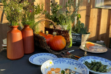 kola Gemüseanteil leipzig