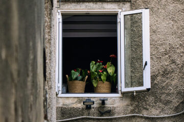 Fenster Bafa Förderung Leipzig
