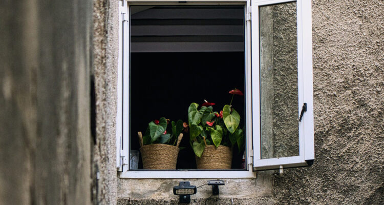 Fenster Bafa Förderung Leipzig