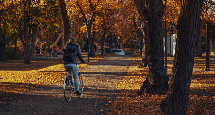 Fahrrad fahren im Herbst in Leipzig