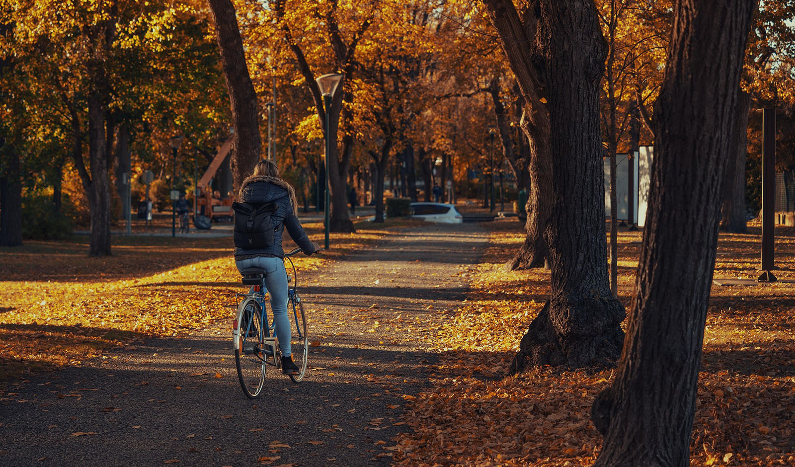 Fahrrad fahren im Herbst in Leipzig