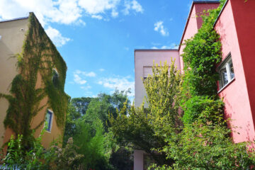 Kletterfix Ökolöwe