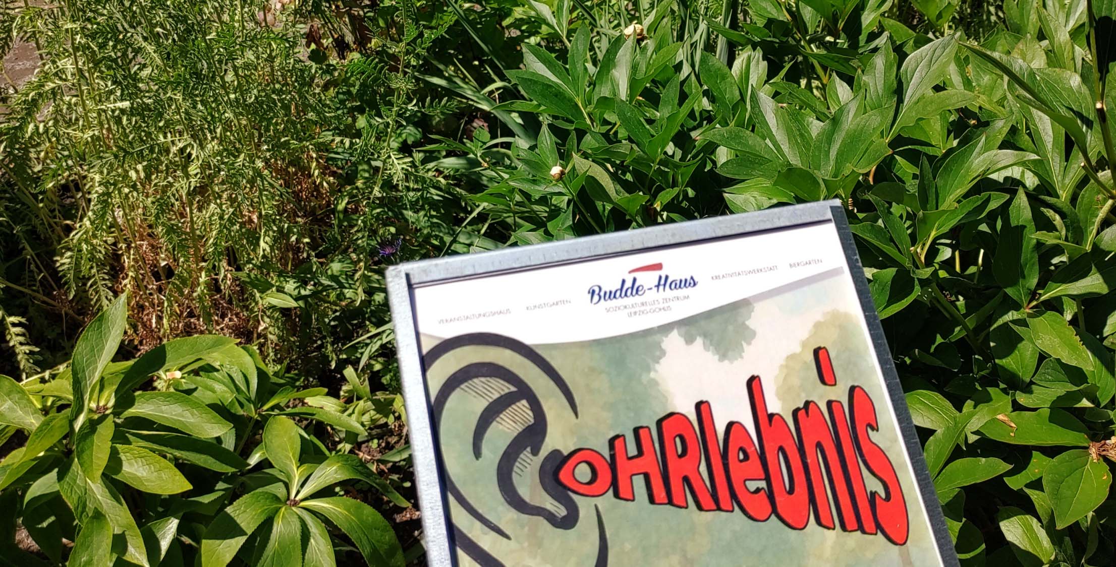 OHRlebnis im Budde Haus