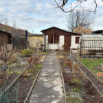 Winter im Garten Leipzig Kleingarten