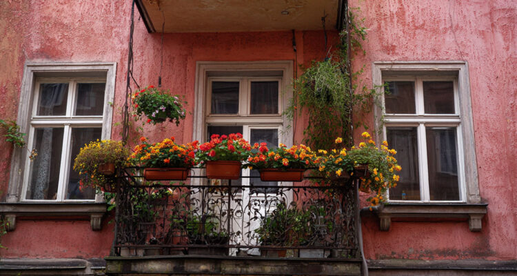Nachhaltig Gärtnern Urban Gardning Leipzig Balkon