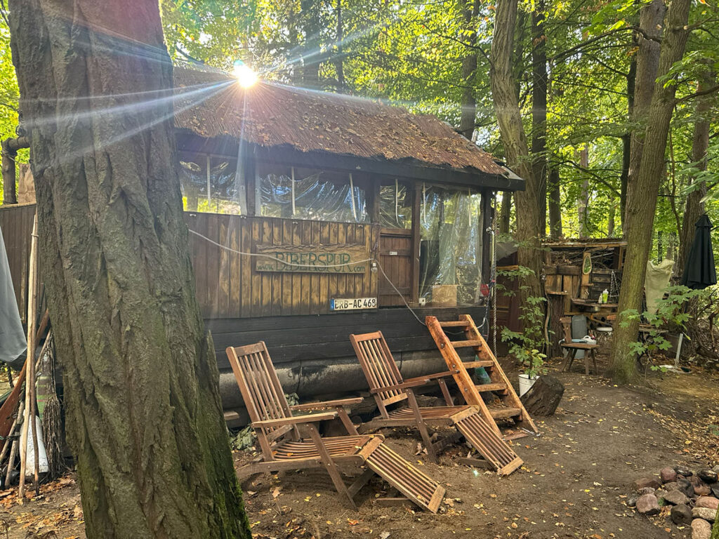 Biberspur Waldfloß Coswig