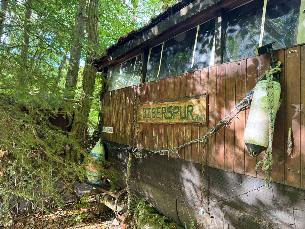 Biberspur Waldfloß Coswig (2)