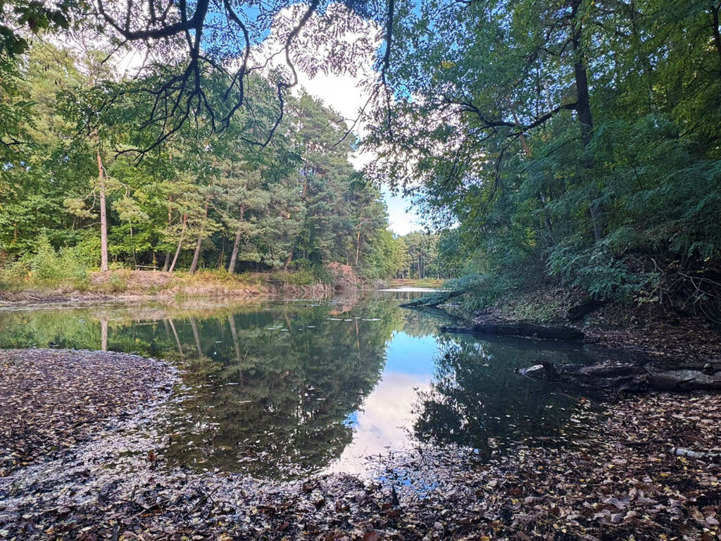 Silbersee Coswig Anhalt